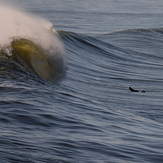 Perfect winter surf at Cobden Breakwater