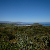 Tauranga Bay from the Cape Foulwind Track
