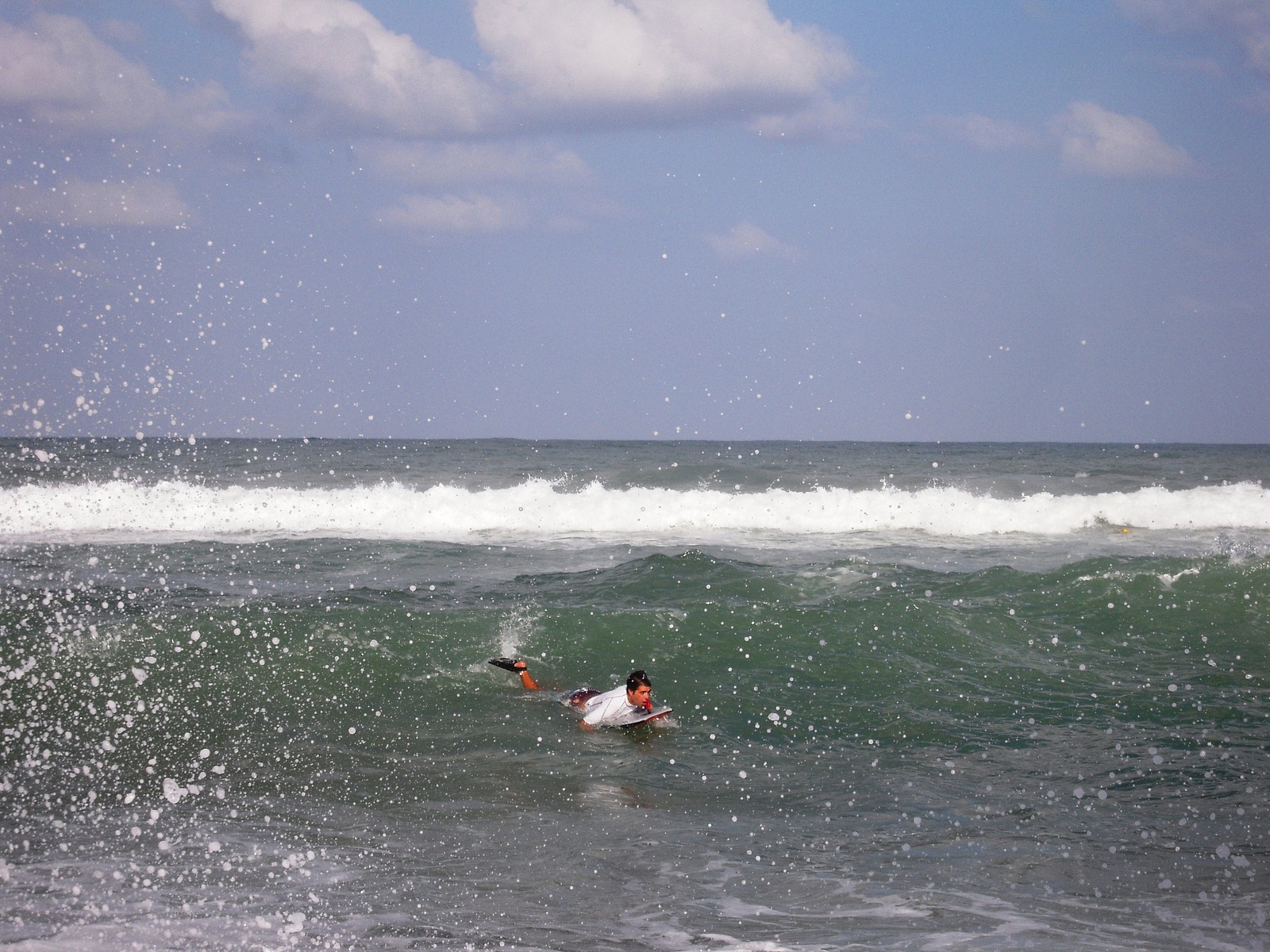 August 13,2011, Papaya (Nahriya)