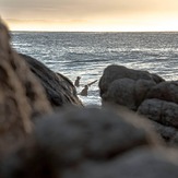 Gavin, Victoria Bay