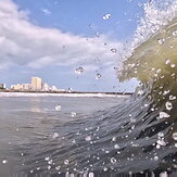 Little Croatan Curl