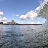 Little Croatan Curl