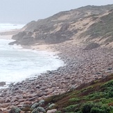 Cobblestone's Reef South Gracetown, Cobblestones