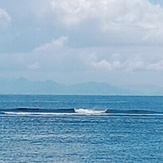 Sanur 3rd Reef Bali, Sanur Reef