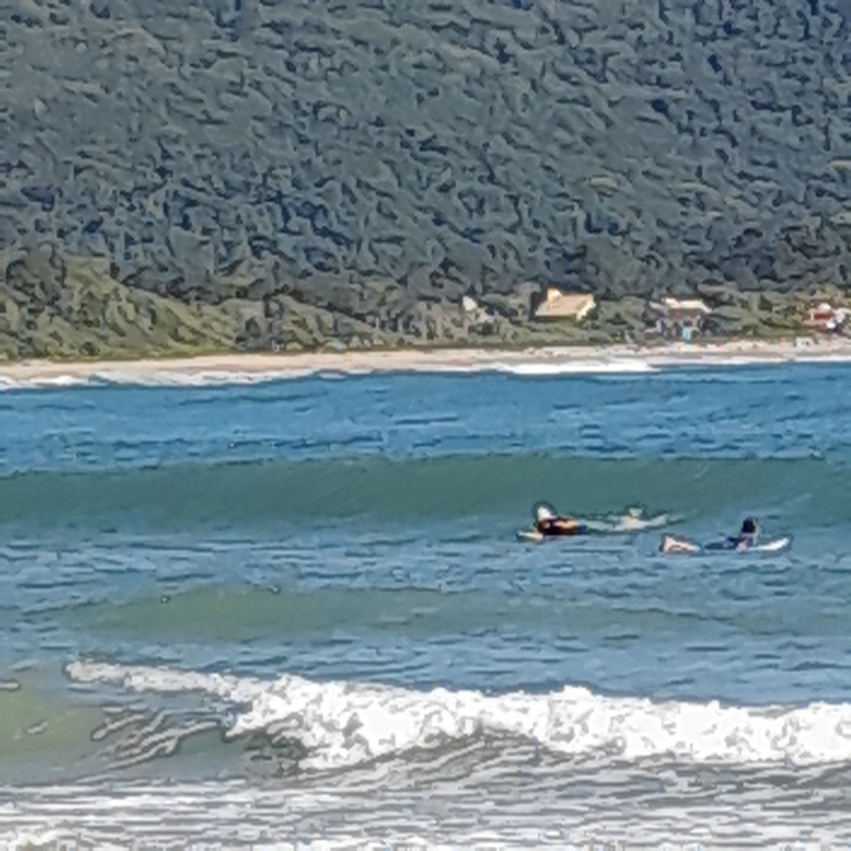 Armação bay, Armacao