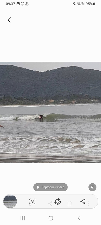 Bodyboard in Armação bay, Armacao