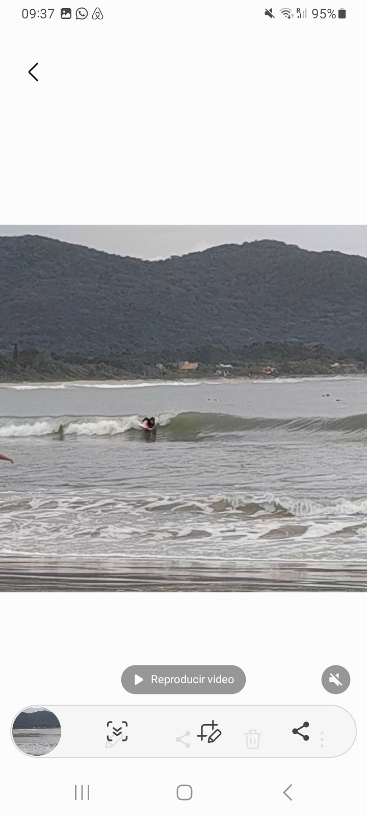 Bodyboard in Armação bay, Armacao