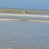Mini-wave, Nieuwpoort