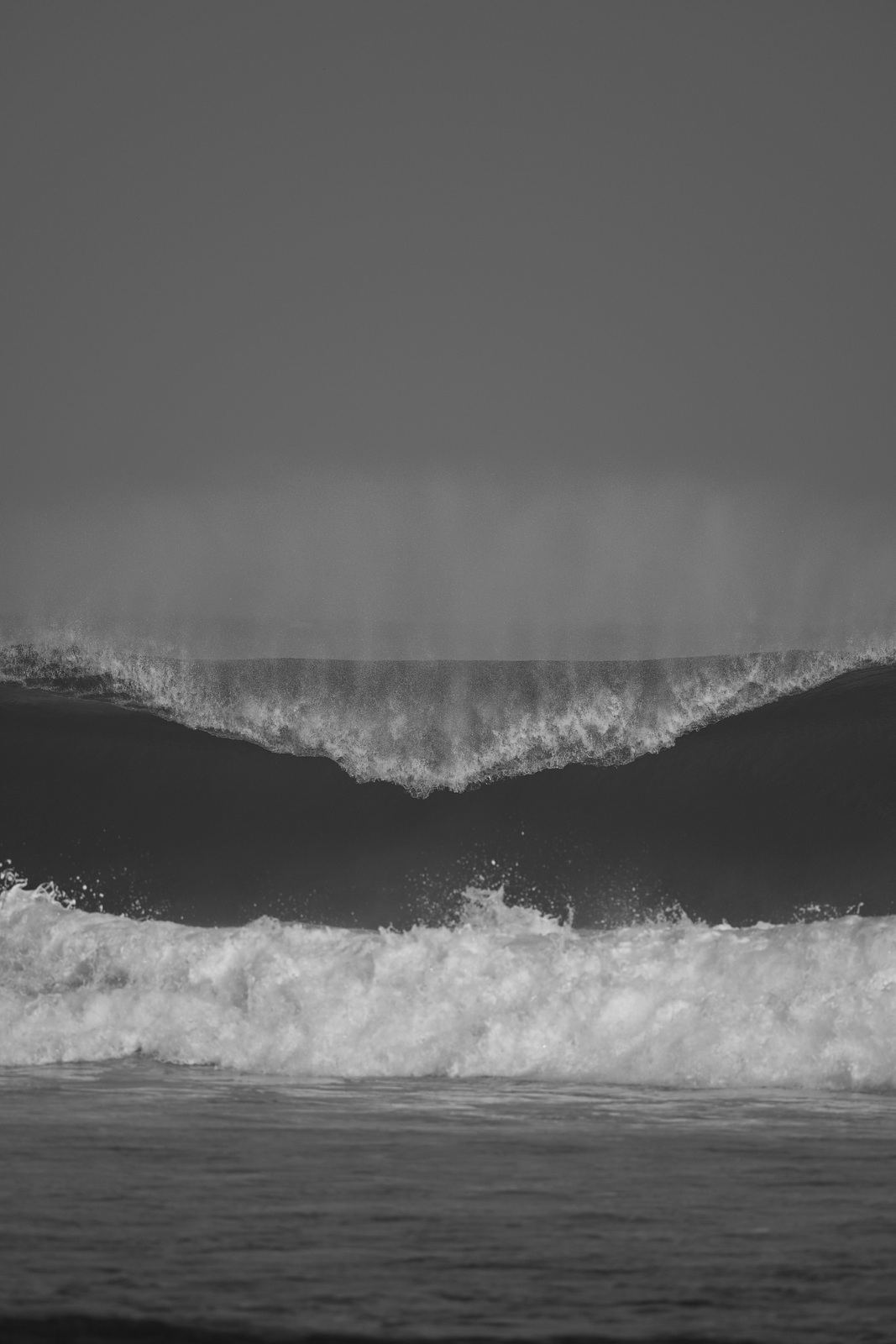 heavyweights, Way Jambu