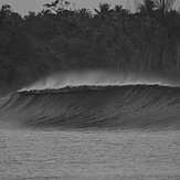 Just us!, Green Bush