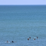 The Waiting Game., Cozies and Geeries