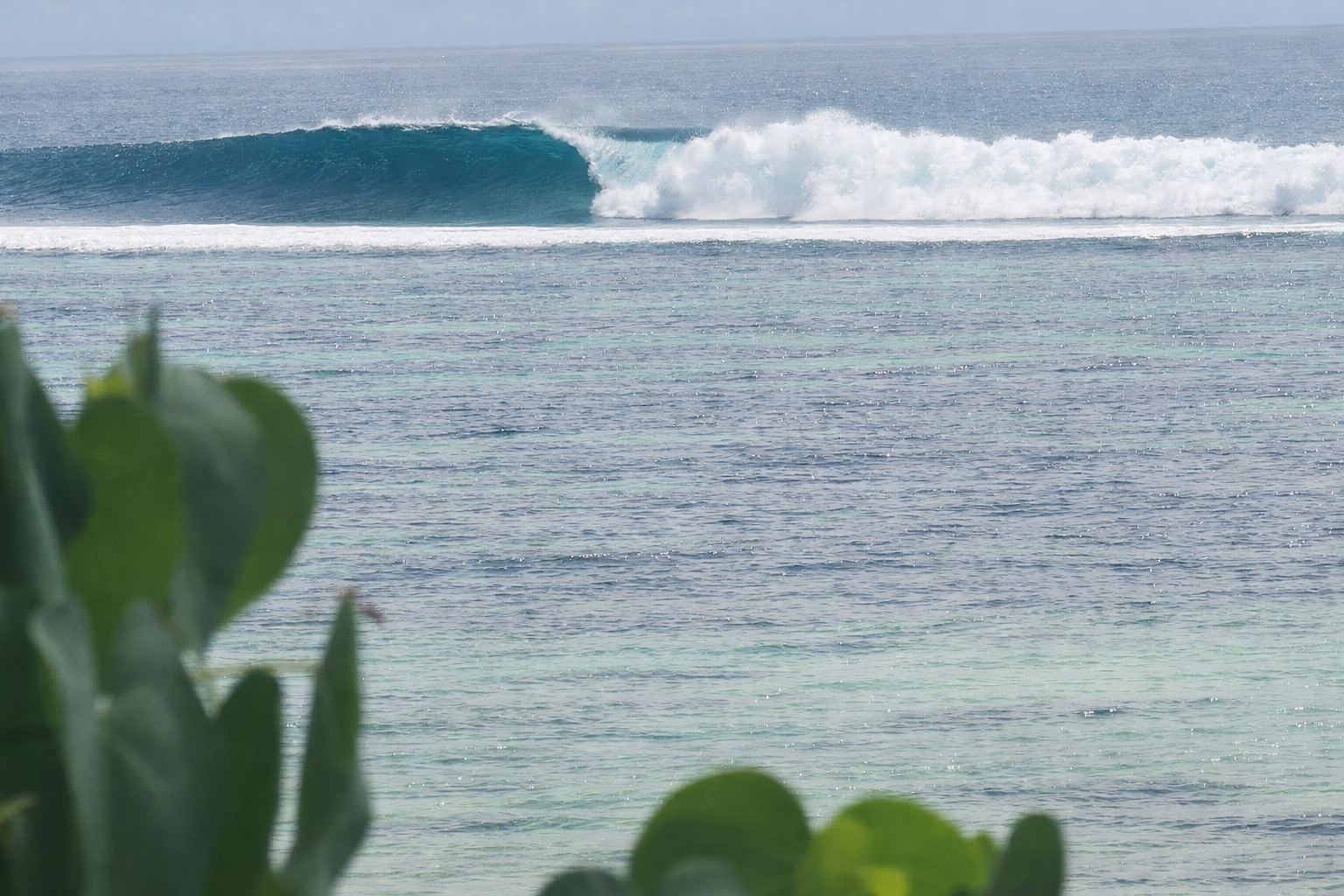 Better than expected, Anse Bougainville