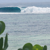 Better than expected, Anse Bougainville