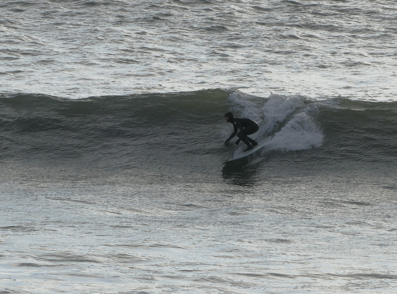 Peekons, Llangennith