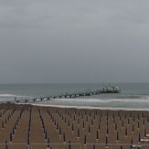 Spring, Lignano Pineta (Stephanie's)