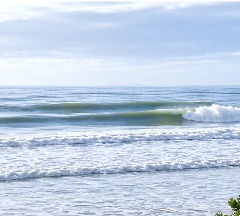 Winter Swell, Rabbit Island