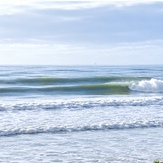 Winter Swell, Rabbit Island