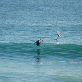 Trigg Beach