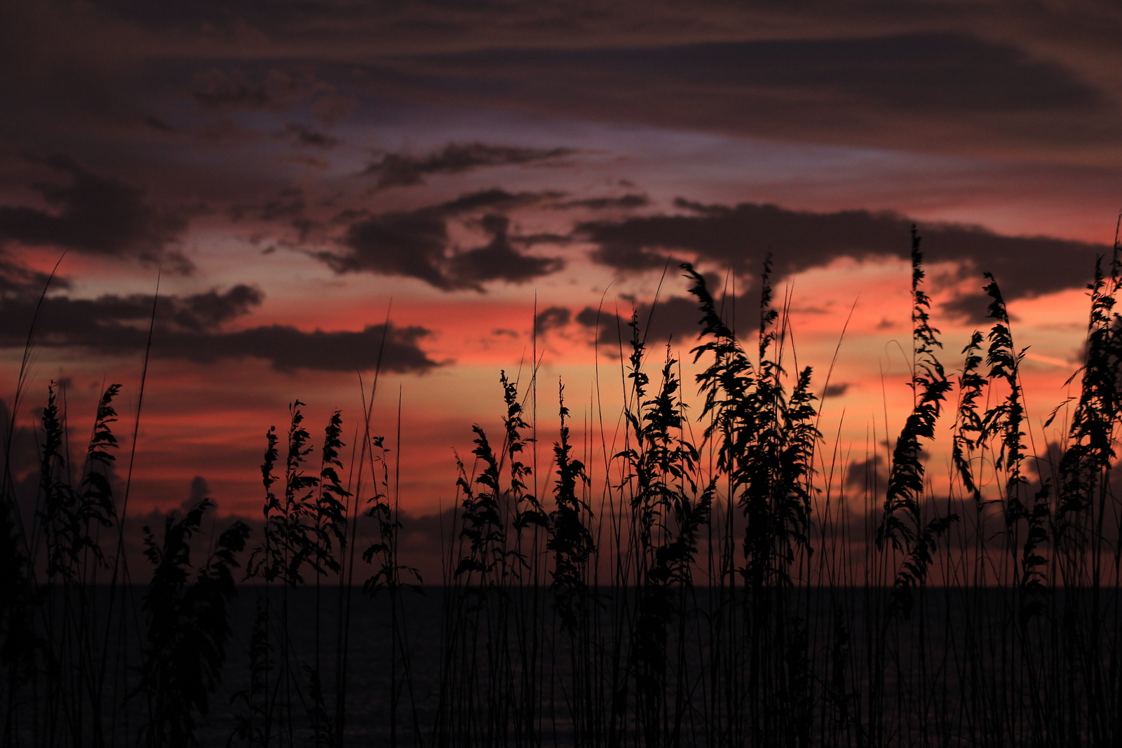 Sunset at Golden Beach in Venice, Venice North and South Jetty