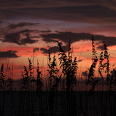 Sunset at Golden Beach in Venice, Venice North and South Jetty