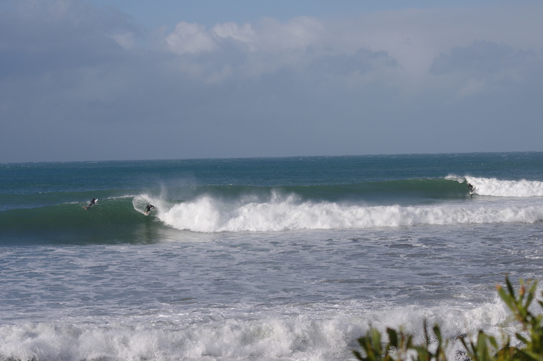 lined up