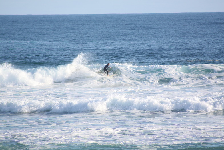 shreden, Wonthaggi