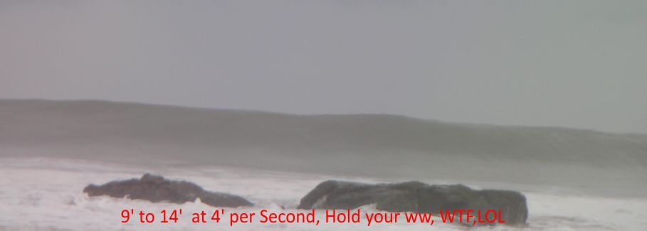 from 20 to38 MPH, Celestino