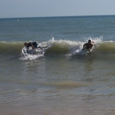 Bodyboard pico de costa ballena, Playa de Tres Piedras