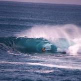 Shark Island (Cronulla)