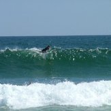 nauset beach cape cod