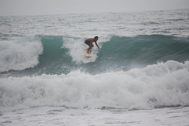 los naranjos, Parque Tayrona