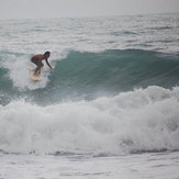 los naranjos, Parque Tayrona