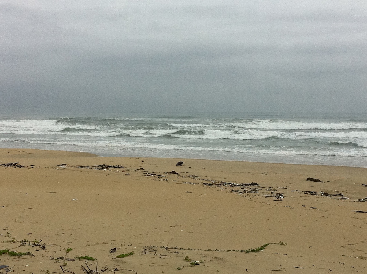China Beach Surf Photo by Darrel | 8:36 am 22 Sep 2011