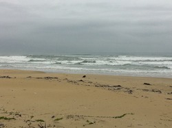As of Sept. 22 at 9:30 AM Vietnam time, China Beach photo