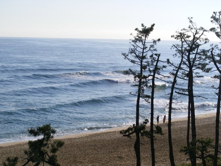 Early morning surf check, Gyongpo Beach