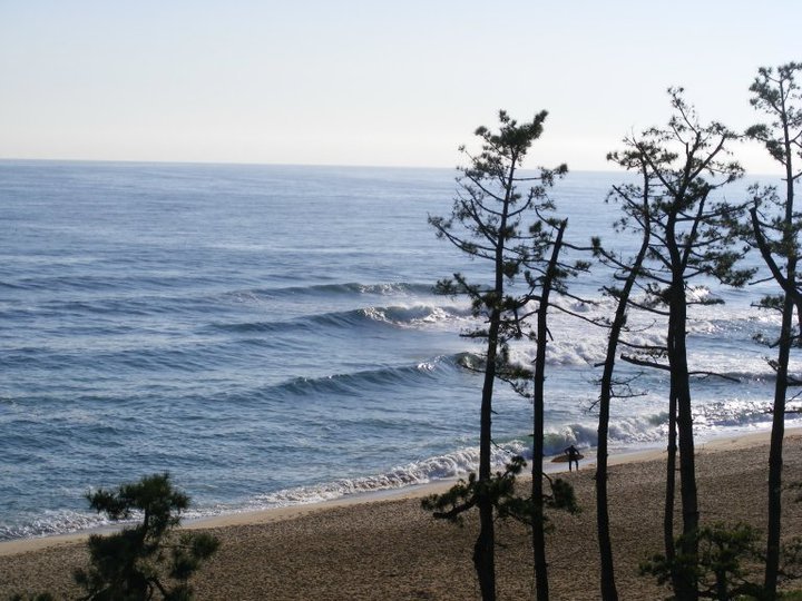 Never ever crowded., Gyongpo Beach