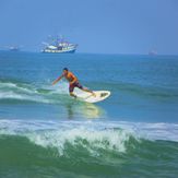 Your Host Surf Guide, Celestino