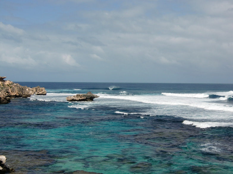 CHICKEN REEF...