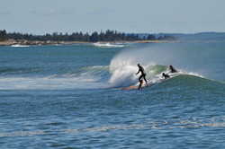 Surfer Morning, Broad Cove photo