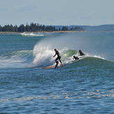 Surfer Morning, Broad Cove
