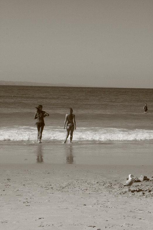 Noosa - Tea Tree Bay break guide