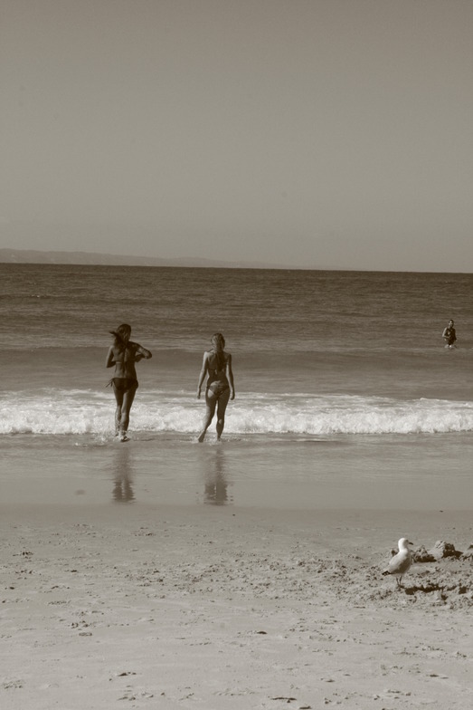 Noosa - Tea Tree Bay surf break