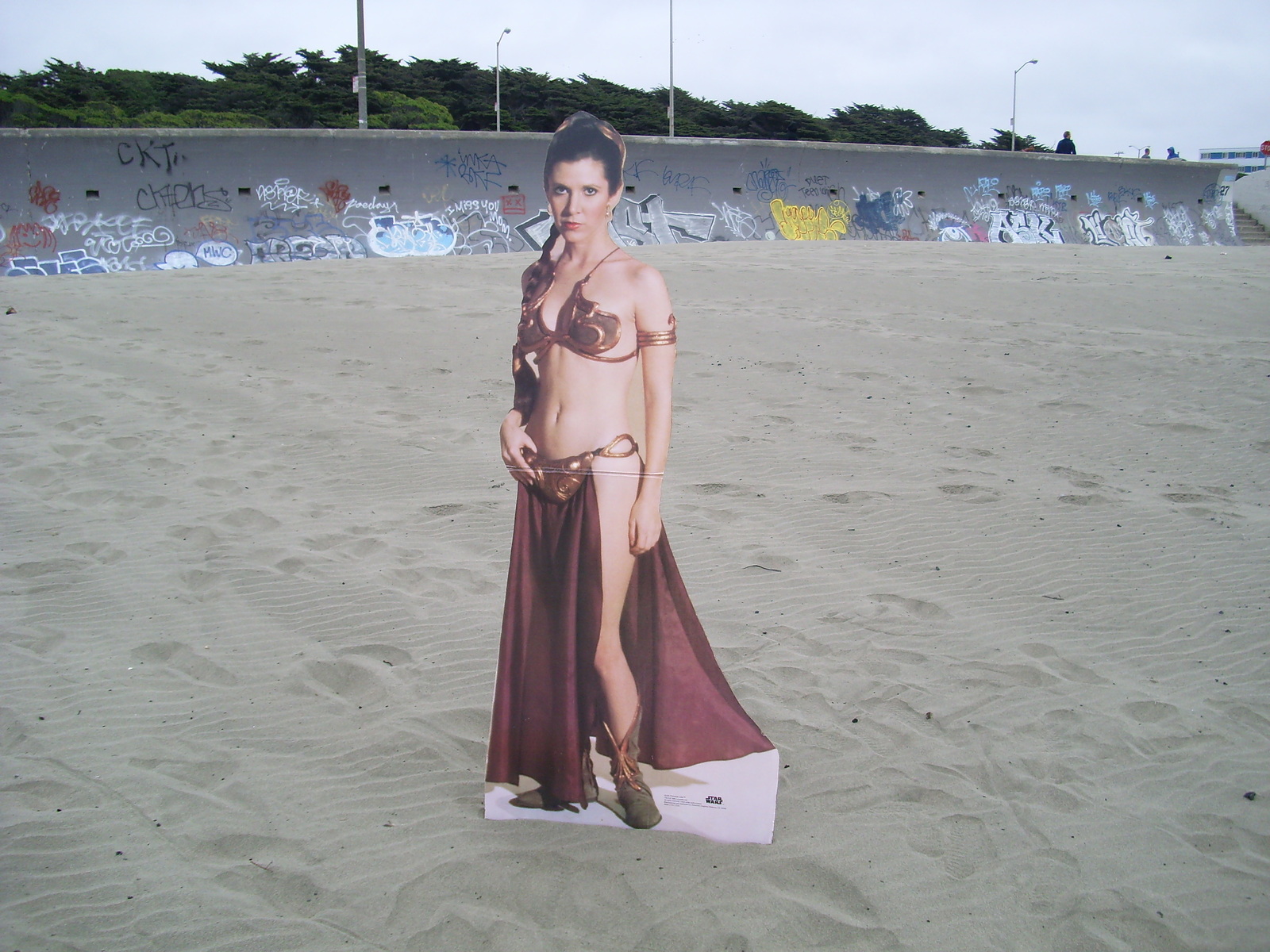 Guest who in OB., Ocean Beach