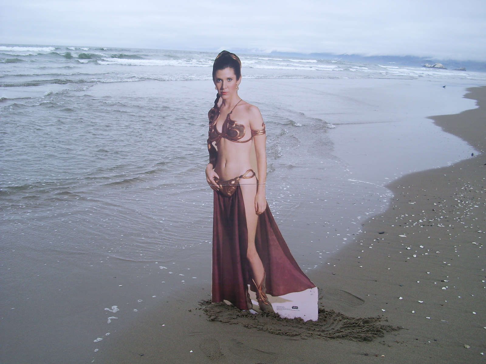 Guest who in OB.2, Ocean Beach