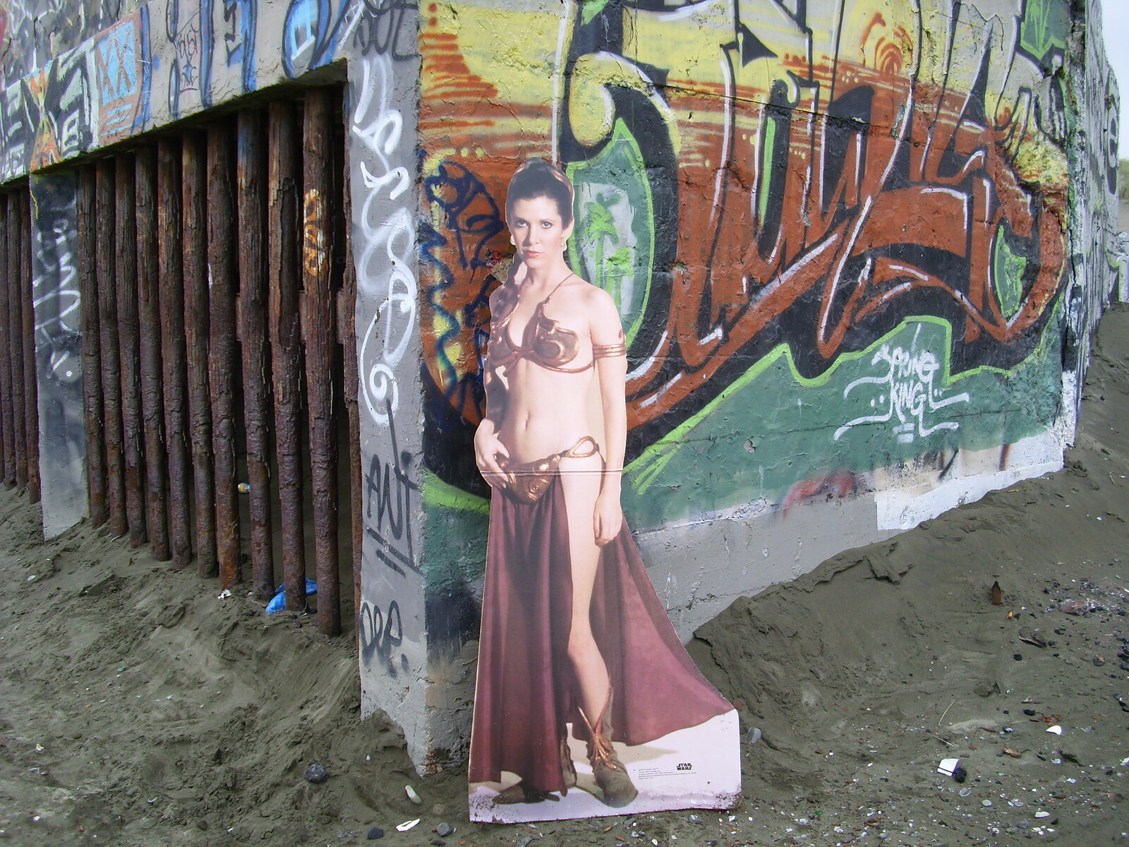 Guest who in OB.3, Ocean Beach