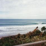 Pining Surf Club Bazza's, Wainui Beach - Pines