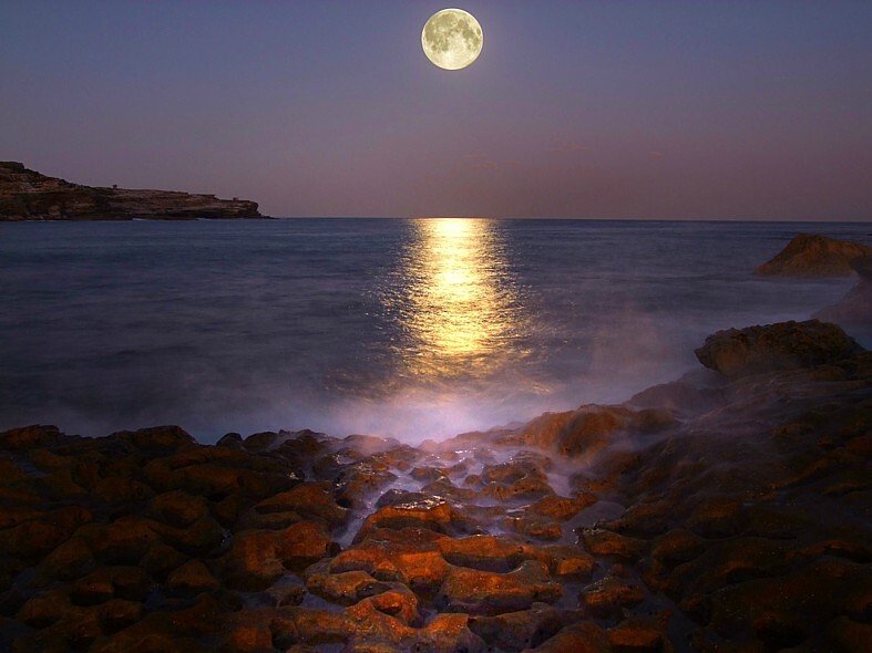 Moonrise Magic, Malabar