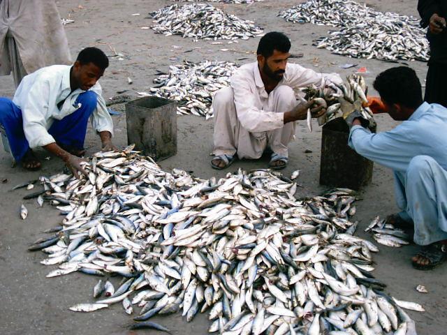 GWADAR BALOCHISTAN, Gwadar West