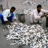 GWADAR BALOCHISTAN, Gwadar West