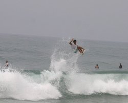 Aereo en los cocos photo